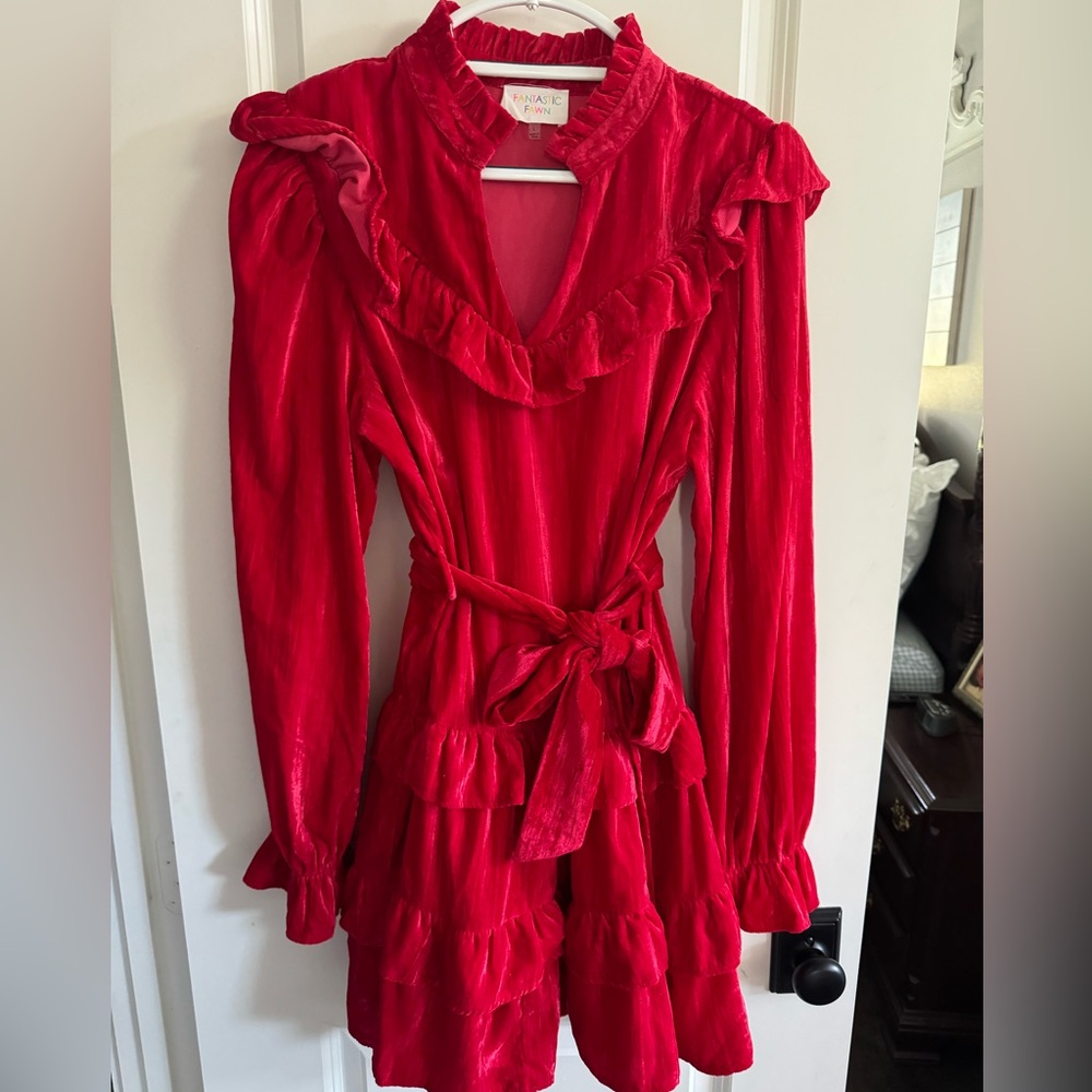 Gorgeous Velvet Dress- Perfect for Holidays